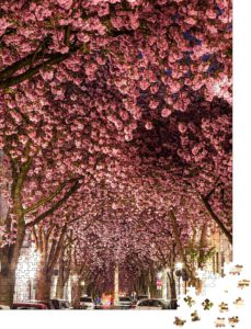 Puzzle 1000 Teile Straße in Bonn bei Nacht, bedeckt von Kirschblüten - Klassische Puzzle, 1000 / 200 / 2000 Teile, edle Motiv-Schachtel, Fotopuzzle-Kollektion 'Places to See'